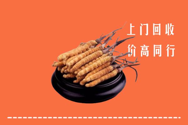 高价求购：潍城区回收散虫草