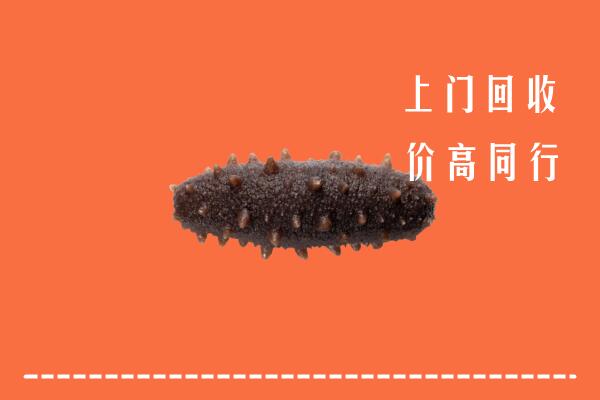 高价求购：潍城区回收海参