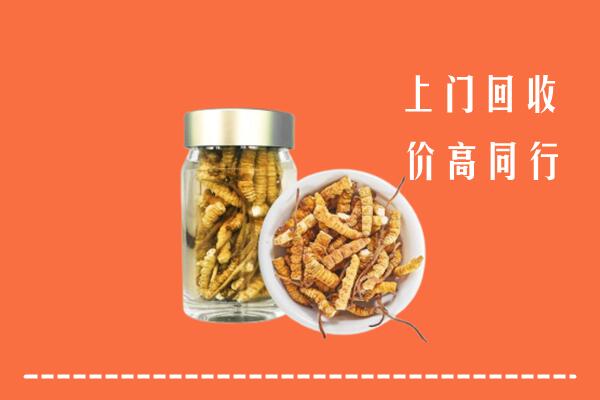 收购行情：潍城区回收冬虫夏草
