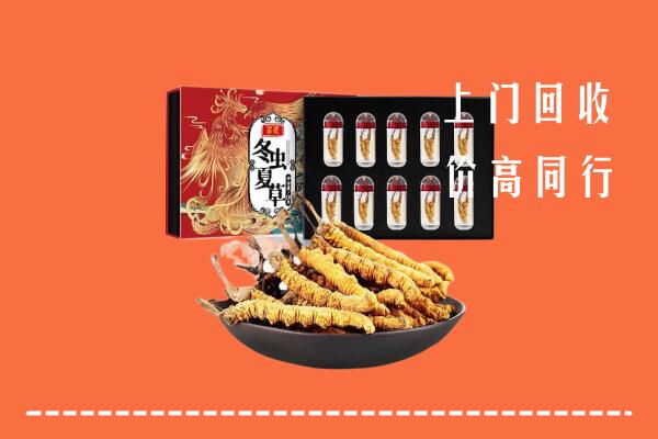 收购行情：潍城区回收虫草